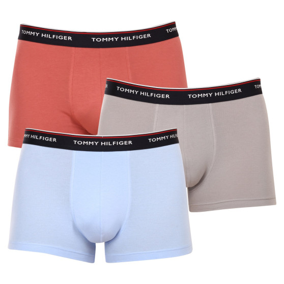 3PACK Boxershorts för herrar Tommy Hilfiger multicolour (1U87903842 0Y4)