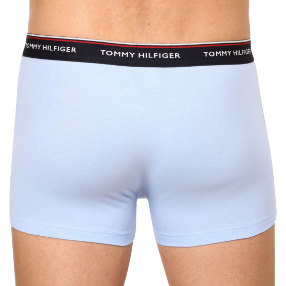 3PACK Boxershorts för herrar Tommy Hilfiger multicolour (1U87903842 0Y4)