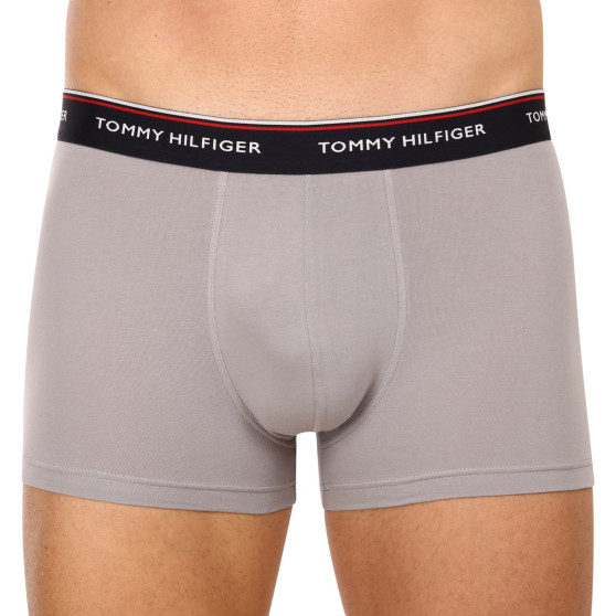 3PACK Boxershorts för herrar Tommy Hilfiger multicolour (1U87903842 0Y4)