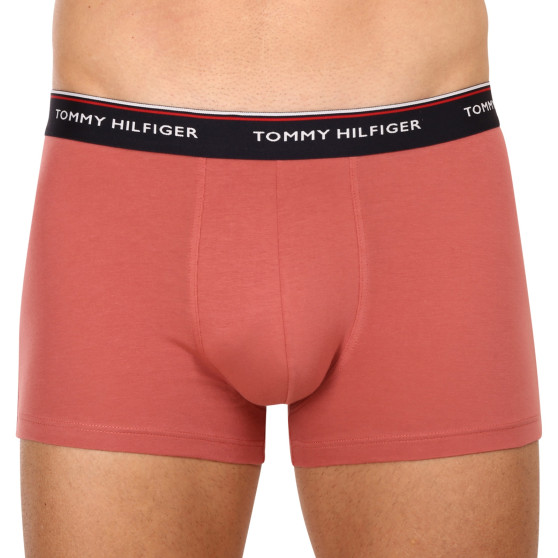 3PACK Boxershorts för herrar Tommy Hilfiger multicolour (1U87903842 0Y4)