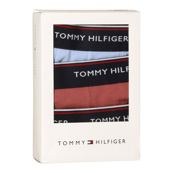 3PACK Boxershorts för herrar Tommy Hilfiger multicolour (1U87903842 0Y4)