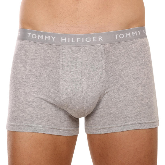 3PACK Boxershorts för herrar Tommy Hilfiger multicolour (UM0UM02203 0XK)