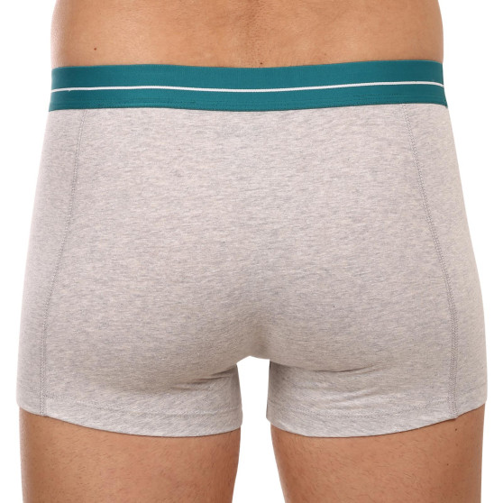 2PACK Boxershorts för herrar Puma multicolour (701221415 004)