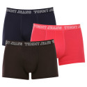 3PACK Boxershorts för herrar Tommy Hilfiger multicolour (UM0UM02850 0T0)