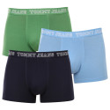 3PACK Boxershorts för herrar Tommy Hilfiger multicolour (UM0UM02850 0T2)