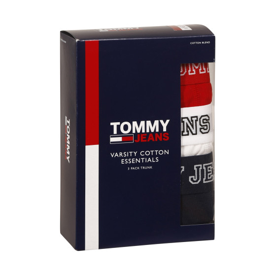 3PACK Boxershorts för herrar Tommy Hilfiger multicolour (UM0UM02850 0T6)