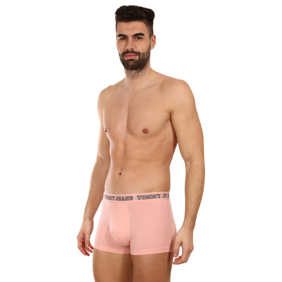 3PACK Boxershorts för herrar Tommy Hilfiger multicolour (UM0UM02850 0TT)