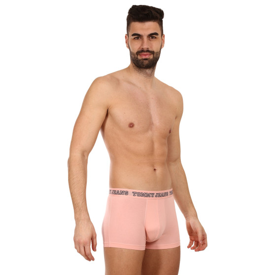 3PACK Boxershorts för herrar Tommy Hilfiger multicolour (UM0UM02850 0TT)