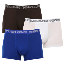 3PACK Boxershorts för herrar Tommy Hilfiger multicolour (UM0UM02850 0TV)