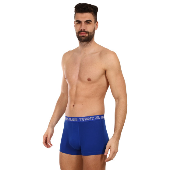 3PACK Boxershorts för herrar Tommy Hilfiger multicolour (UM0UM02850 0TV)