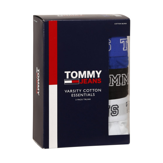 3PACK Boxershorts för herrar Tommy Hilfiger multicolour (UM0UM02850 0TV)