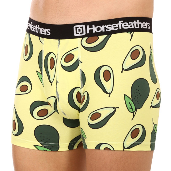 Boxershorts för herrar Horsefeathers Sidney Avocado (AM164K)