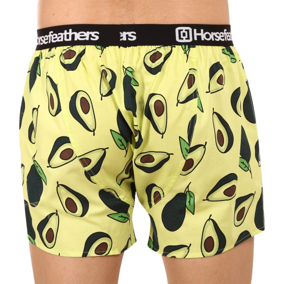 Shorts för män Horsefeathers Frazier Avocado (AM166H)