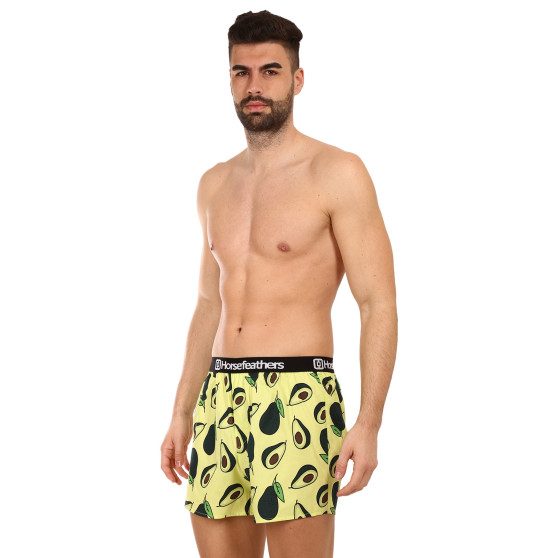 Shorts för män Horsefeathers Frazier Avocado (AM166H)