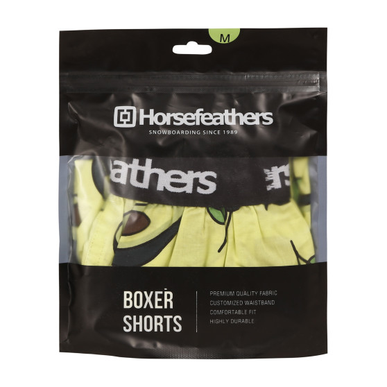 Shorts för män Horsefeathers Frazier Avocado (AM166H)