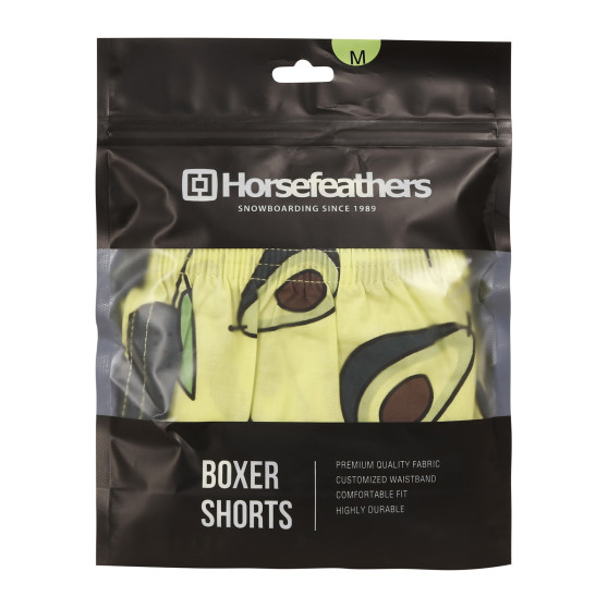 Shorts för män Horsefeathers Manny Avocado (AM167G)