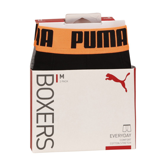 2PACK Boxershorts för herrar Puma multicolour (521015001 050)