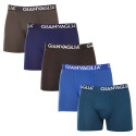 5PACK Boxershorts för herrar Gianvaglia multicolour (GVG-5007)