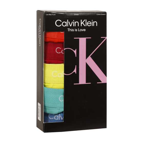 5PACK Boxershorts för herrar Calvin Klein multicolour (NB1348A-BNG)