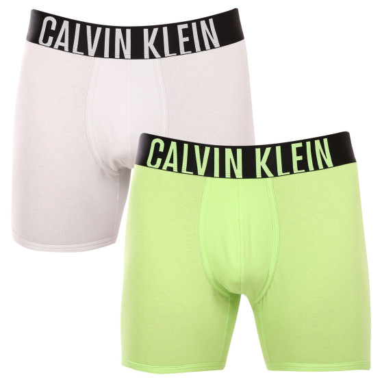 2PACK Boxershorts för herrar Calvin Klein multicolour (NB2603A-C2D)