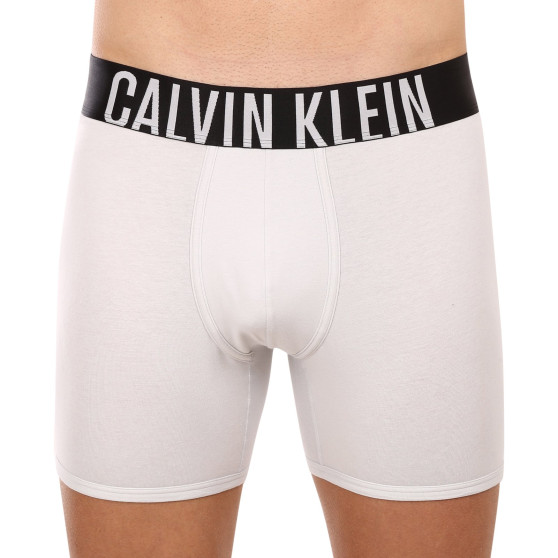 2PACK Boxershorts för herrar Calvin Klein multicolour (NB2603A-C2D)