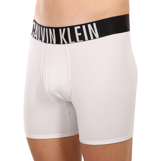 2PACK Boxershorts för herrar Calvin Klein multicolour (NB2603A-C2D)