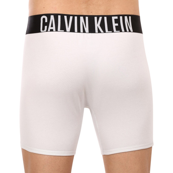 2PACK Boxershorts för herrar Calvin Klein multicolour (NB2603A-C2D)