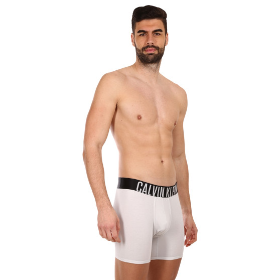 2PACK Boxershorts för herrar Calvin Klein multicolour (NB2603A-C2D)