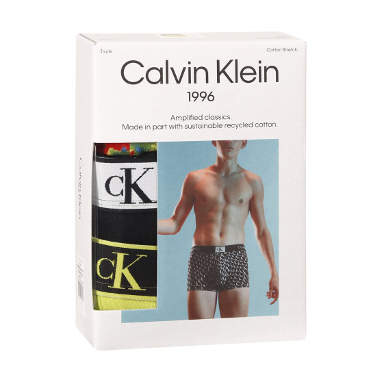 3PACK Boxershorts för herrar Calvin Klein multicolour (NB3528A-DY0)