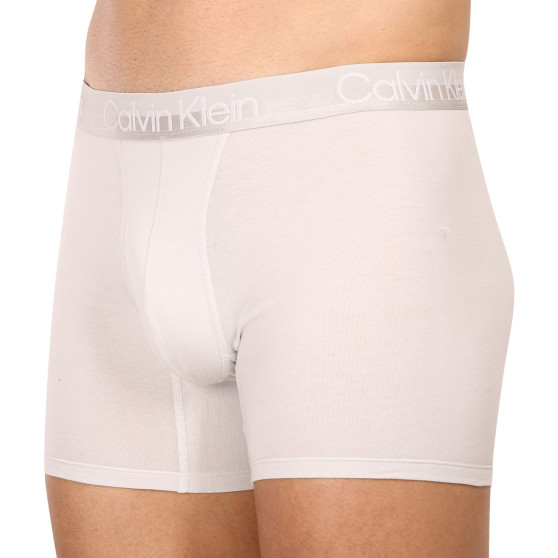 3PACK Boxershorts för herrar Calvin Klein multicolour (NB2971A-CBC)