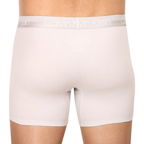 3PACK Boxershorts för herrar Calvin Klein multicolour (NB2971A-CBC)