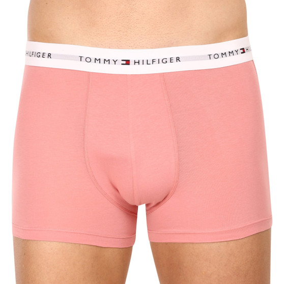 3PACK Boxershorts för herrar Tommy Hilfiger multicolour (UM0UM02761 0R4)