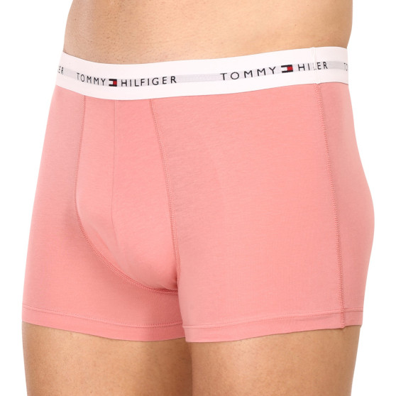 3PACK Boxershorts för herrar Tommy Hilfiger multicolour (UM0UM02761 0R4)