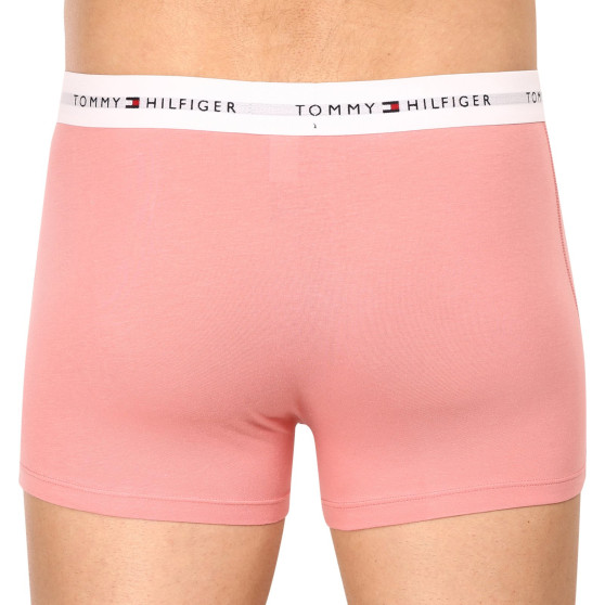 3PACK Boxershorts för herrar Tommy Hilfiger multicolour (UM0UM02761 0R4)