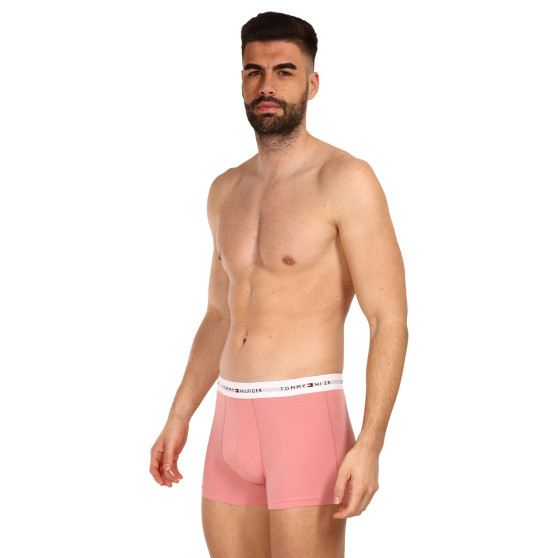 3PACK Boxershorts för herrar Tommy Hilfiger multicolour (UM0UM02761 0R4)