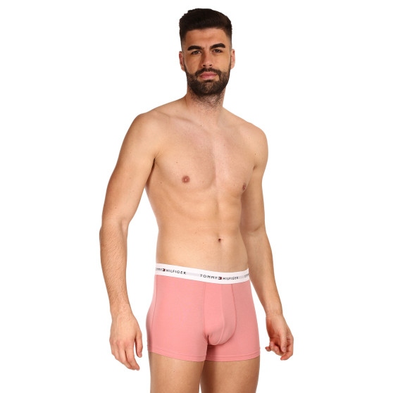 3PACK Boxershorts för herrar Tommy Hilfiger multicolour (UM0UM02761 0R4)