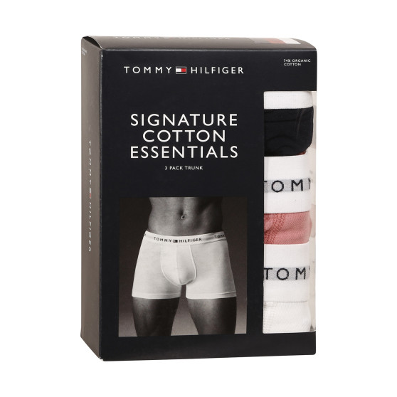 3PACK Boxershorts för herrar Tommy Hilfiger multicolour (UM0UM02761 0R4)