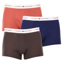 3PACK Boxershorts för herrar Tommy Hilfiger multicolour (UM0UM02761 0TF)