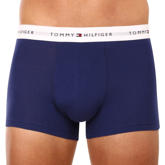 3PACK Boxershorts för herrar Tommy Hilfiger multicolour (UM0UM02761 0TF)