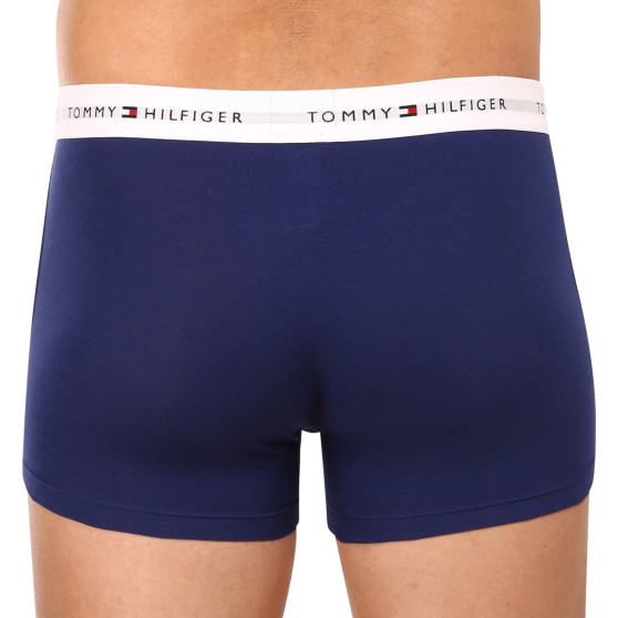 3PACK Boxershorts för herrar Tommy Hilfiger multicolour (UM0UM02761 0TF)