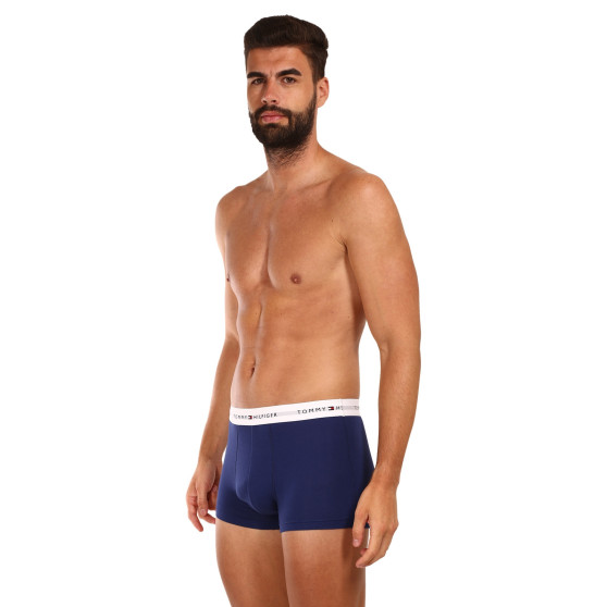 3PACK Boxershorts för herrar Tommy Hilfiger multicolour (UM0UM02761 0TF)