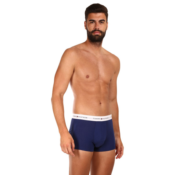 3PACK Boxershorts för herrar Tommy Hilfiger multicolour (UM0UM02761 0TF)