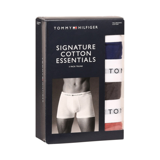 3PACK Boxershorts för herrar Tommy Hilfiger multicolour (UM0UM02761 0TF)