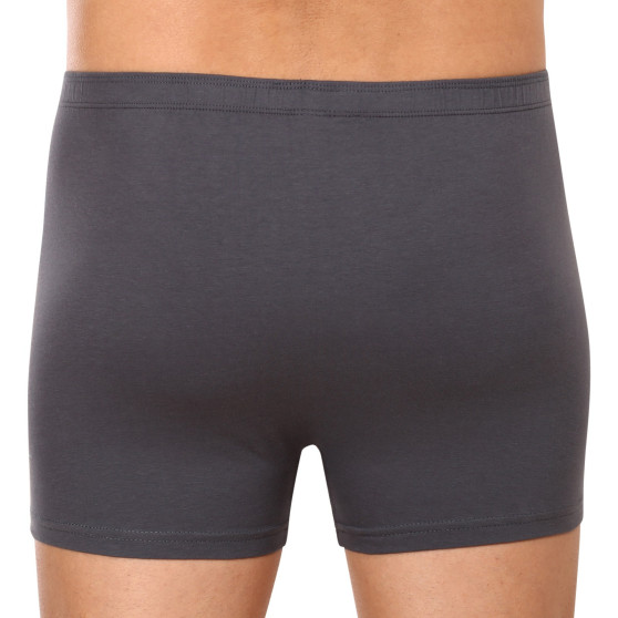 Boxershorts för herrar Gino grå (73113)