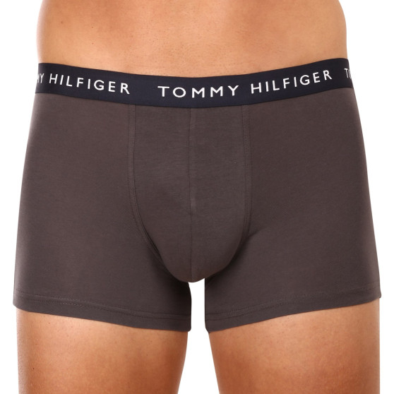 3PACK Boxershorts för herrar Tommy Hilfiger multicolour (UM0UM02203 0XX)