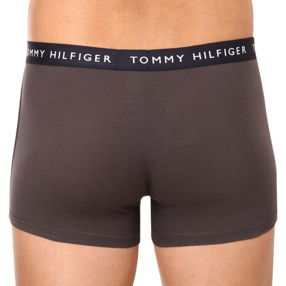 3PACK Boxershorts för herrar Tommy Hilfiger multicolour (UM0UM02203 0XX)