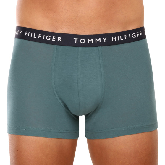 3PACK Boxershorts för herrar Tommy Hilfiger multicolour (UM0UM02203 0XX)