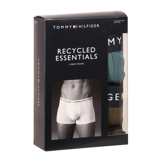 3PACK Boxershorts för herrar Tommy Hilfiger multicolour (UM0UM02203 0XX)