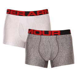 2PACK Boxershorts för herrar Under Armour grå (1363618 011)