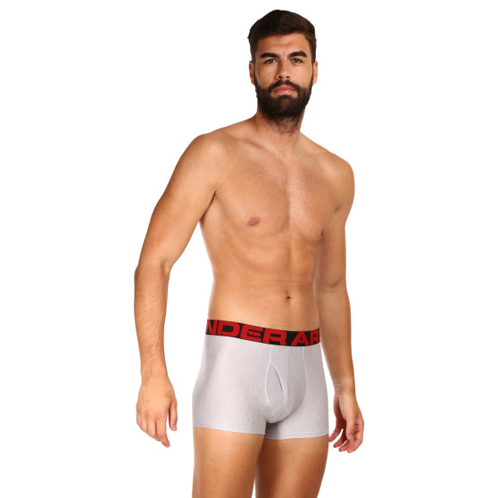 2PACK Boxershorts för herrar Under Armour grå (1363618 011)